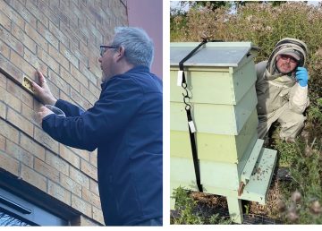 Bee brick biodiversity R G Carter