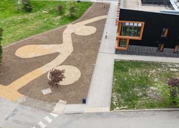 Sensory Garden Collaboration