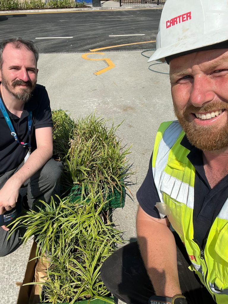 Two people kneeling beside trays of donated plants at the Heckmondwike Bus Hub project, including an R G Carter site manager in a hard hat and hi‑vis vest, preparing the plants for Leeds University Technical College.