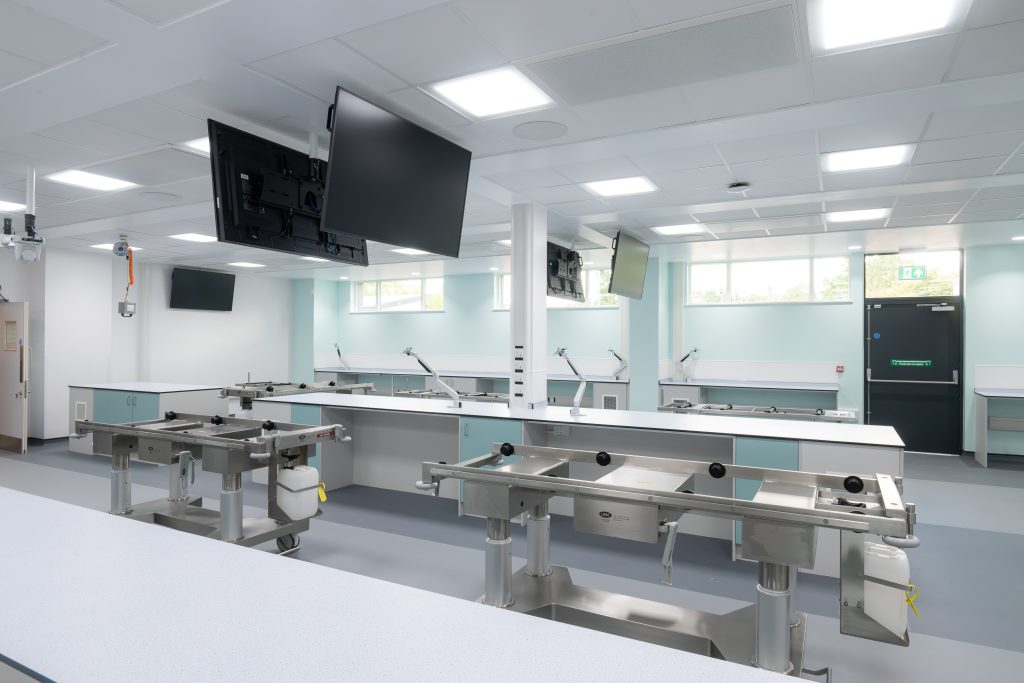 A bright, modern anatomy teaching lab featuring stainless‑steel workstations with integrated sinks, ceiling‑mounted monitors and cameras, and large windows providing natural light, designed for advanced medical and anatomical training.